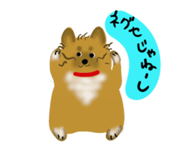 whimsical Japanese  Shiba"hachi". sticker #5190487