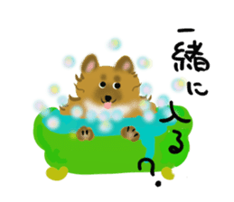 whimsical Japanese  Shiba"hachi". sticker #5190489