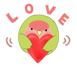 Perfectly round of true parrots (part.2) sticker #5192694