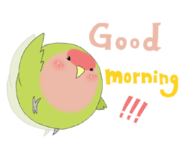 Perfectly round of true parrots (part.2) sticker #5192696