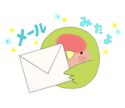 Perfectly round of true parrots (part.2) sticker #5192709