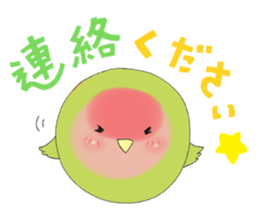 Perfectly round of true parrots (part.2) sticker #5192710