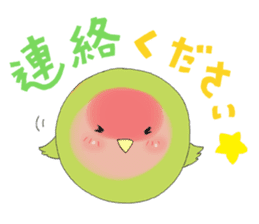 Perfectly round of true parrots (part.2) sticker #5192710