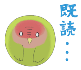 Perfectly round of true parrots (part.2) sticker #5192711