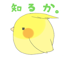 Perfectly round of true parrots (part.2) sticker #5192717