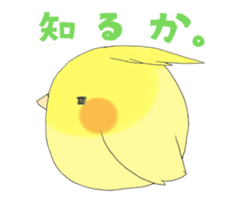 Perfectly round of true parrots (part.2) sticker #5192717