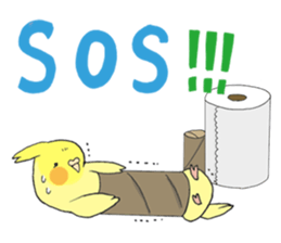 Perfectly round of true parrots (part.2) sticker #5192720