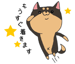 Shiba Inu of honorific sticker #5195743