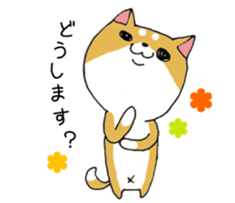 Shiba Inu of honorific sticker #5195748