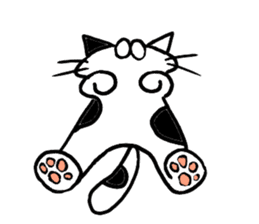 Nolan of a cat sticker #5196669