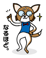 CHIHUAHUA "Chihua-ten" sticker #5197002