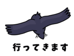 THE Cute Crow YATTA! sticker #5198047