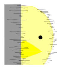 spoiled pea-chan sticker #5198319