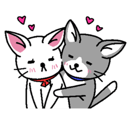 Cat couple story sticker #5198928