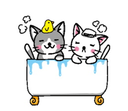Cat couple story sticker #5198932