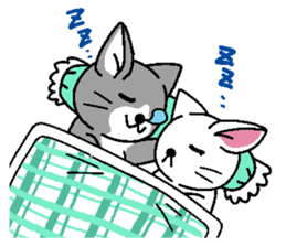 Cat couple story sticker #5198933