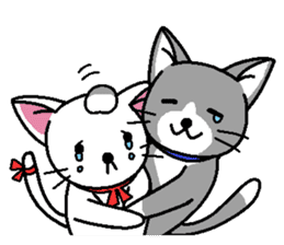 Cat couple story sticker #5198938