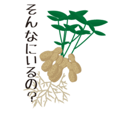 Shy-bean sticker #5201475