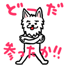 Paochu Dog 4 sticker #5202681
