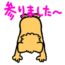 Paochu Dog 4 sticker #5202682