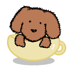 teacup poodle