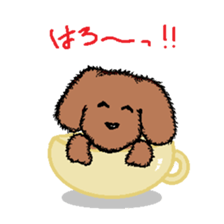 teacup poodle sticker #5203140