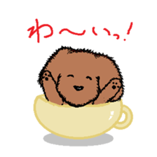 teacup poodle sticker #5203147