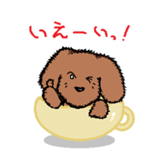 teacup poodle sticker #5203148