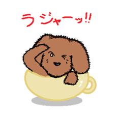teacup poodle sticker #5203156