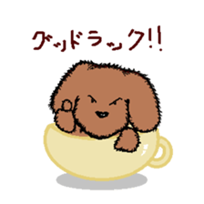 teacup poodle sticker #5203157