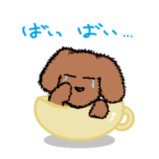 teacup poodle sticker #5203161
