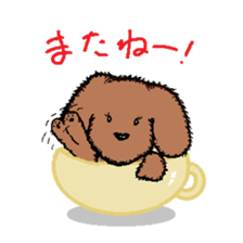 teacup poodle sticker #5203162