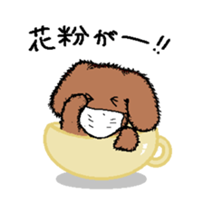 teacup poodle sticker #5203163