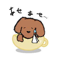 teacup poodle sticker #5203164
