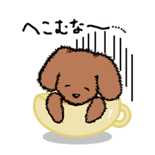 teacup poodle sticker #5203165