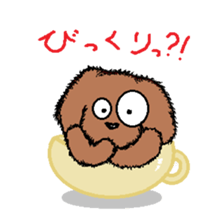 teacup poodle sticker #5203168