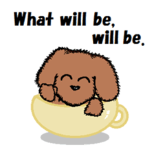 teacup poodle sticker #5203173