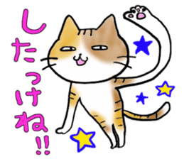 Native of Hokkaido tortoiseshell cat sticker #5203546