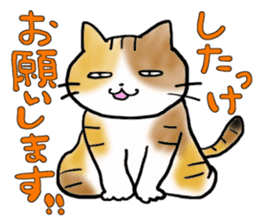 Native of Hokkaido tortoiseshell cat sticker #5203549