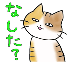 Native of Hokkaido tortoiseshell cat sticker #5203550