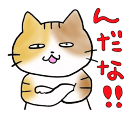 Native of Hokkaido tortoiseshell cat sticker #5203560