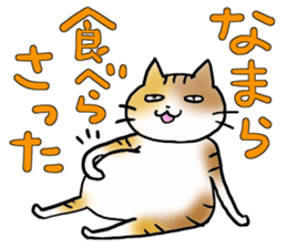 Native of Hokkaido tortoiseshell cat sticker #5203572