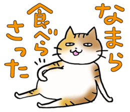 Native of Hokkaido tortoiseshell cat sticker #5203572