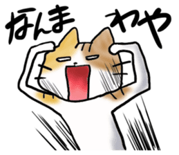 Native of Hokkaido tortoiseshell cat sticker #5203575