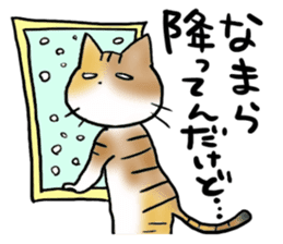 Native of Hokkaido tortoiseshell cat sticker #5203578
