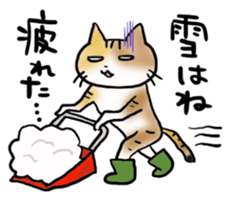 Native of Hokkaido tortoiseshell cat sticker #5203579