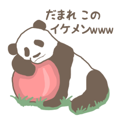 A little funny panda