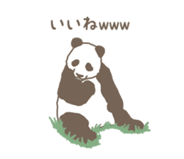 A little funny panda sticker #5205027