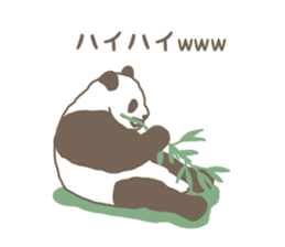 A little funny panda sticker #5205031