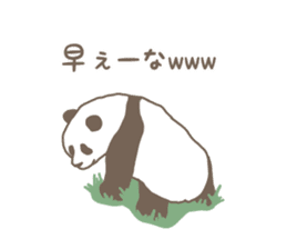 A little funny panda sticker #5205057